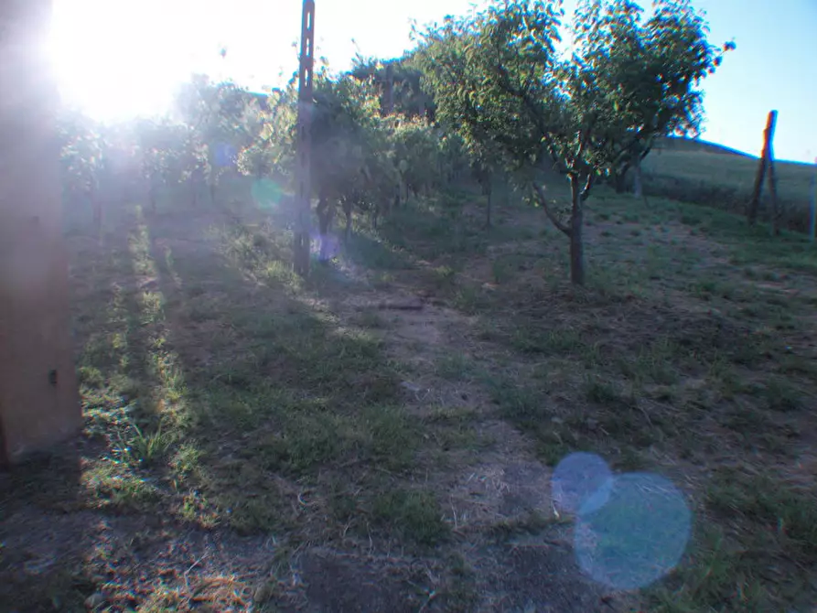 Immagine 71 di Rustico / casale in vendita  a Senigallia