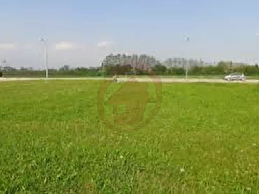 Immagine 2 di Terreno in vendita  in via Cornara a Villanova Di Camposampiero