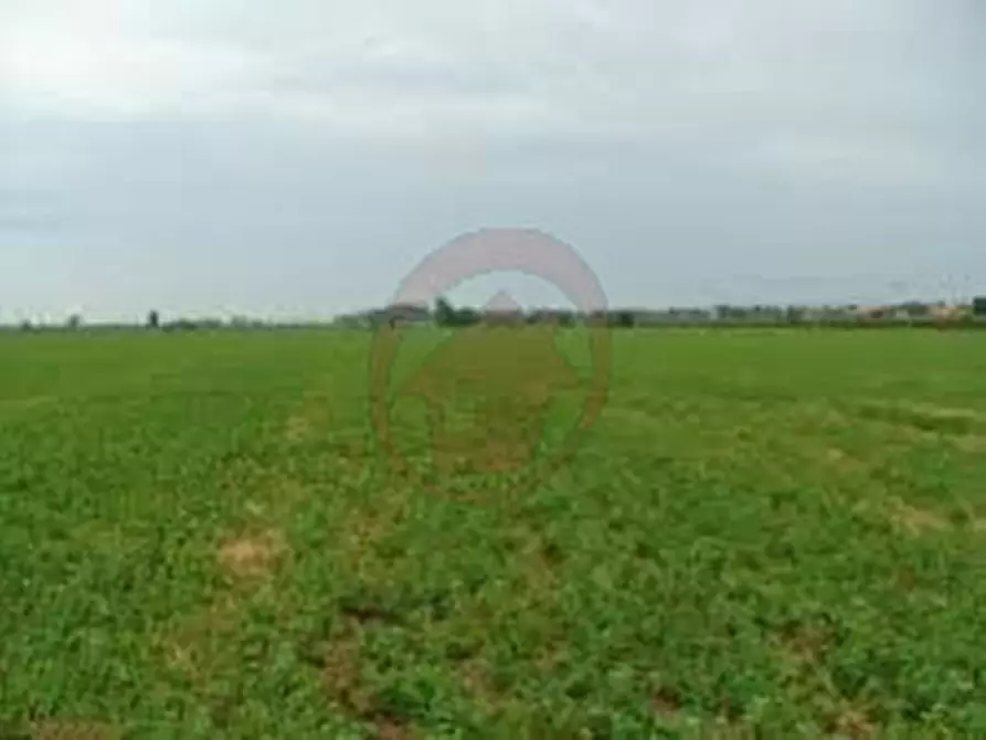 Immagine 3 di Terreno in vendita  in via Cornara a Villanova Di Camposampiero