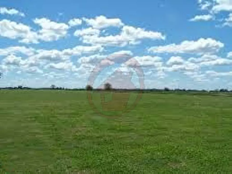 Immagine 4 di Terreno in vendita  in via Cornara a Villanova Di Camposampiero