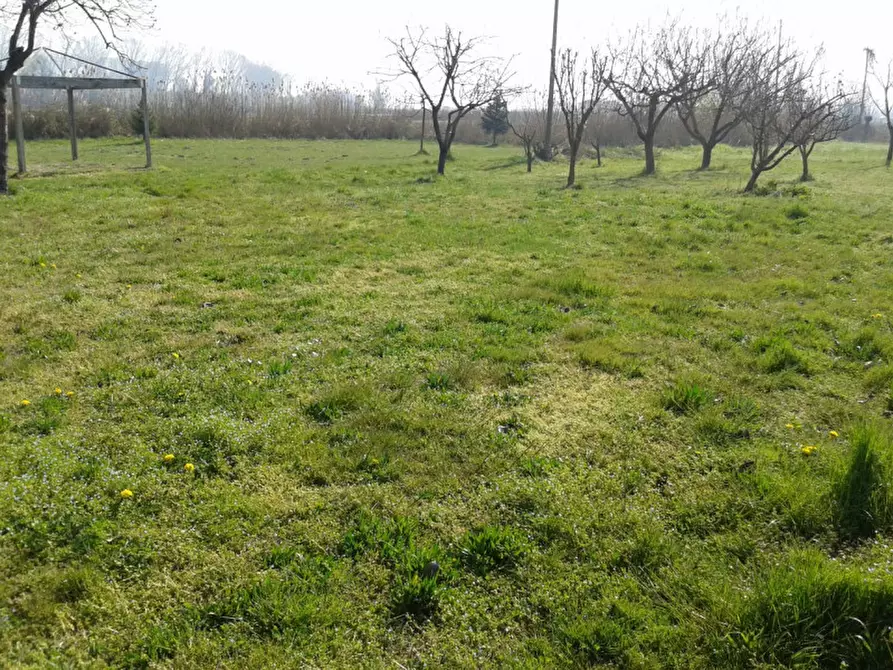 Immagine 2 di Casa bifamiliare in vendita  a Badia Polesine