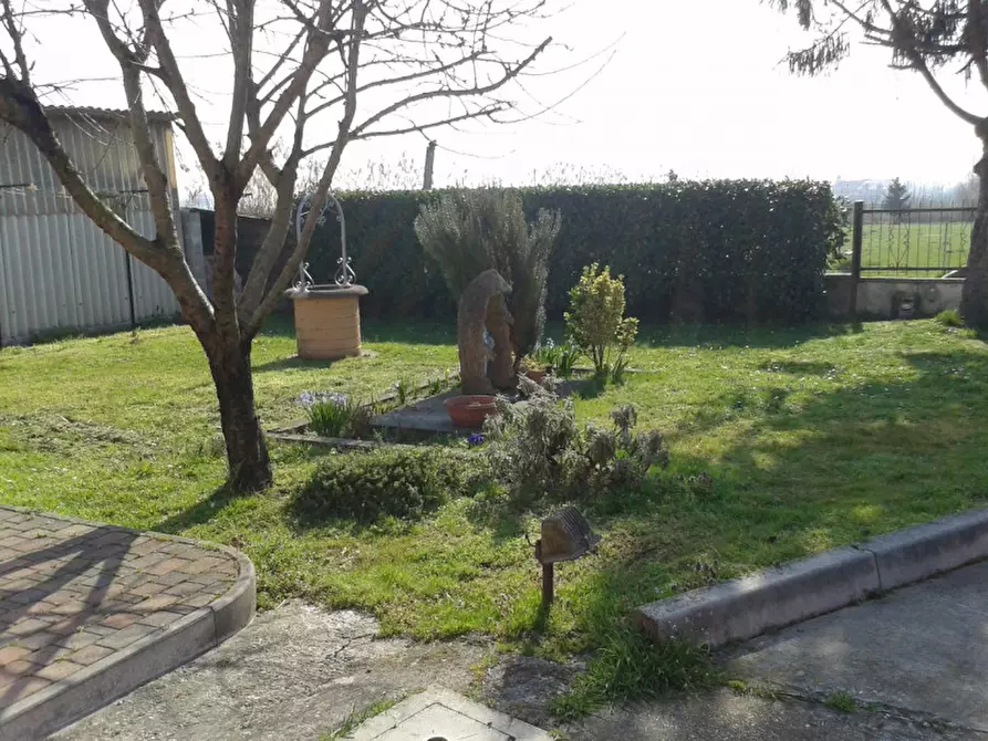 Immagine 5 di Casa bifamiliare in vendita  a Badia Polesine