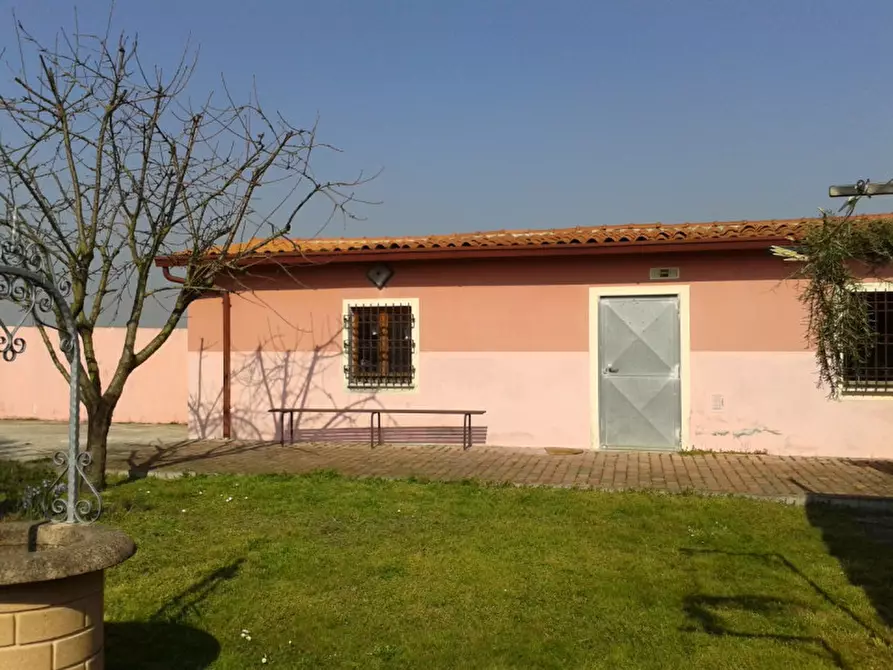 Immagine 7 di Casa bifamiliare in vendita  a Badia Polesine