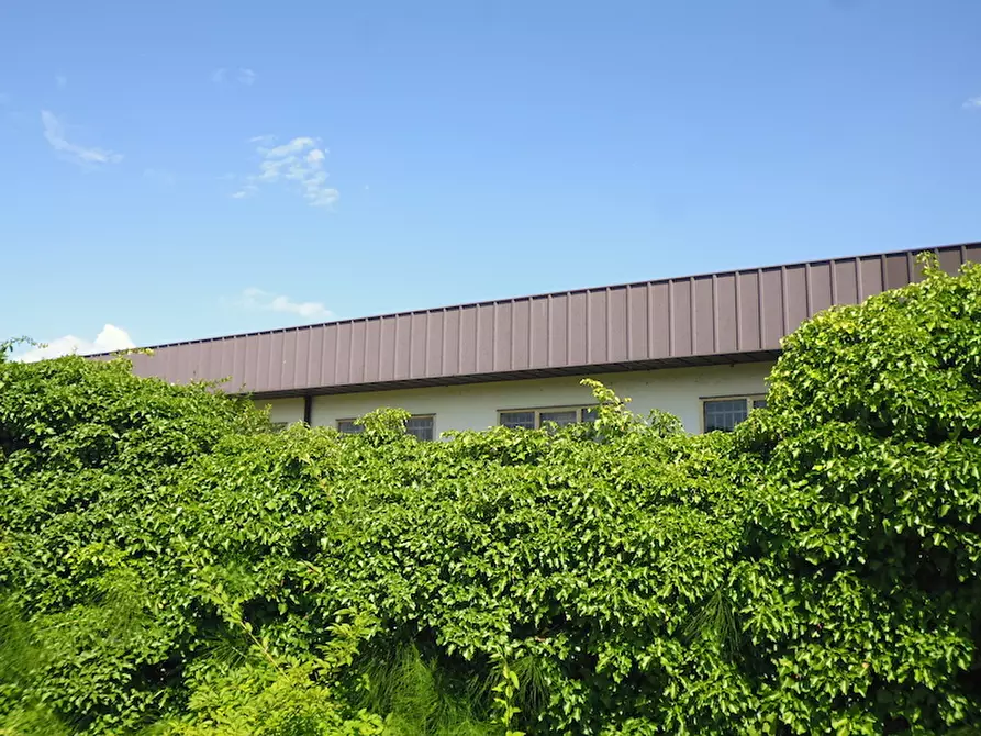 Immagine 2 di Capannone industriale in vendita  a Saonara