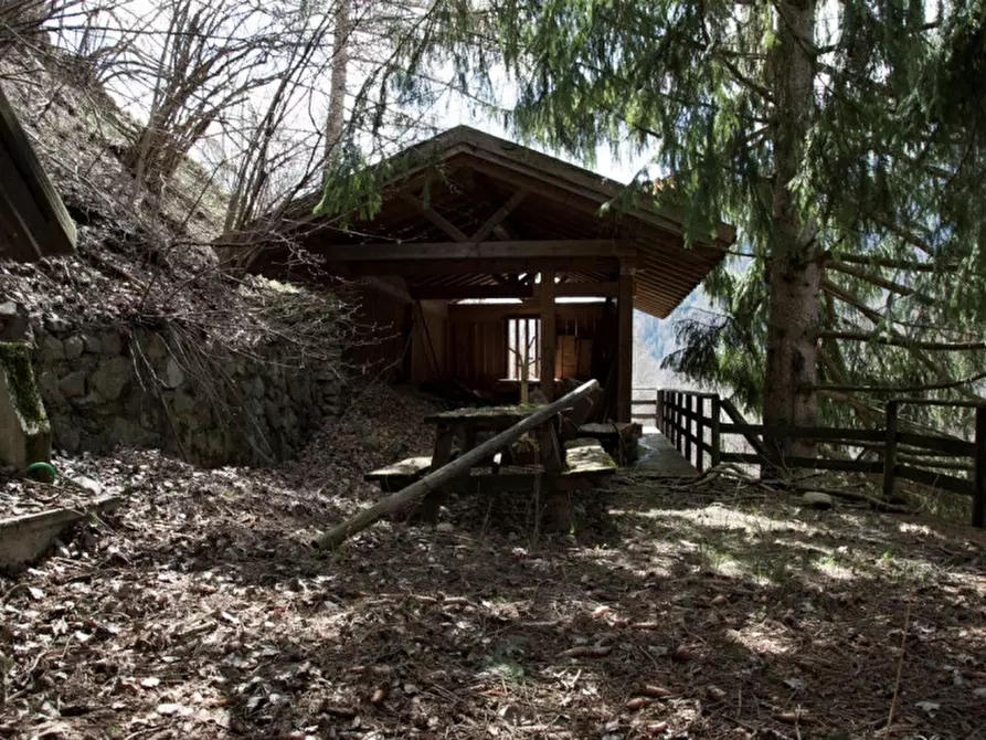 Immagine 21 di Rustico / casale in vendita  in Penasa a Rabbi
