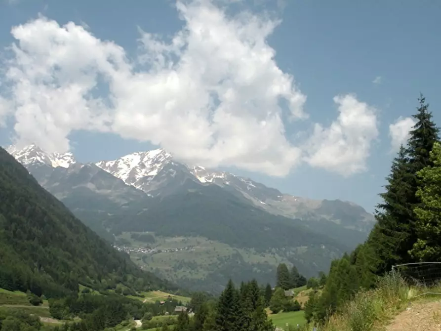 Immagine 12 di Rustico / casale in vendita  a Pejo