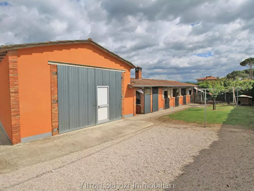 Immagine 2 di Rustico / casale in vendita  in pantanelli di sotto a Torrita Di Siena