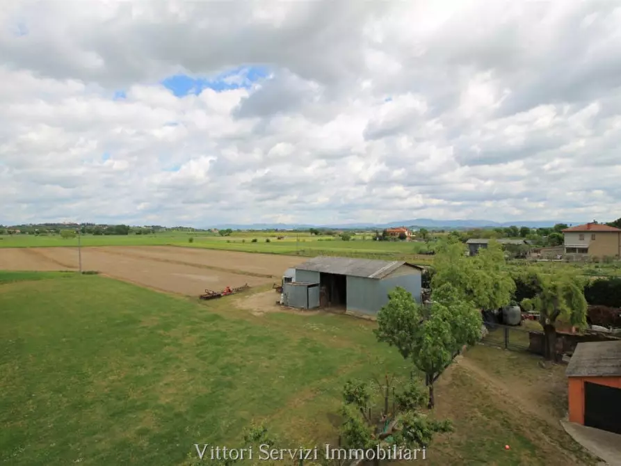 Immagine 4 di Rustico / casale in vendita  in pantanelli di sotto a Torrita Di Siena