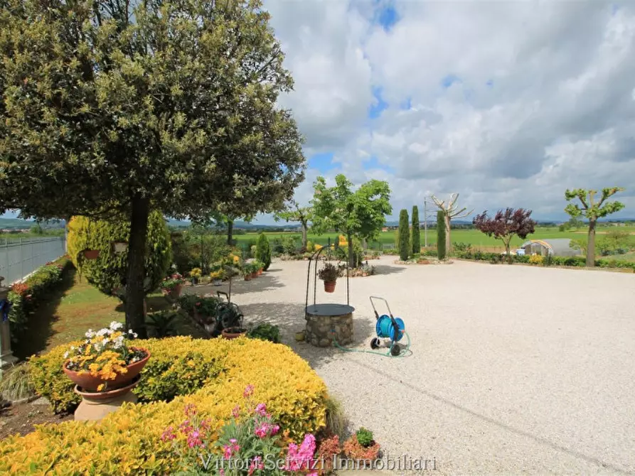 Immagine 17 di Rustico / casale in vendita  in pantanelli di sotto a Torrita Di Siena