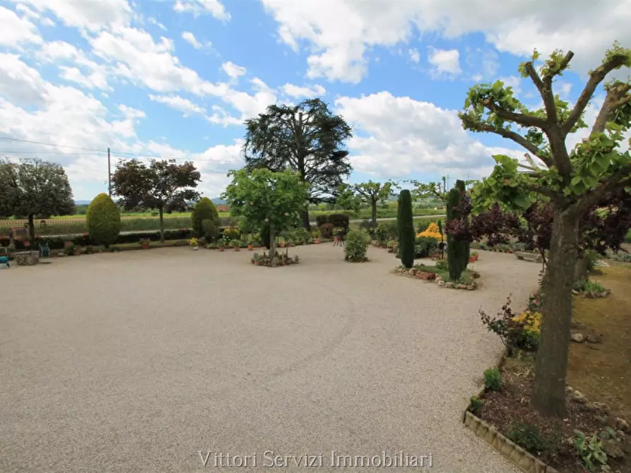 Immagine 21 di Rustico / casale in vendita  in pantanelli di sotto a Torrita Di Siena