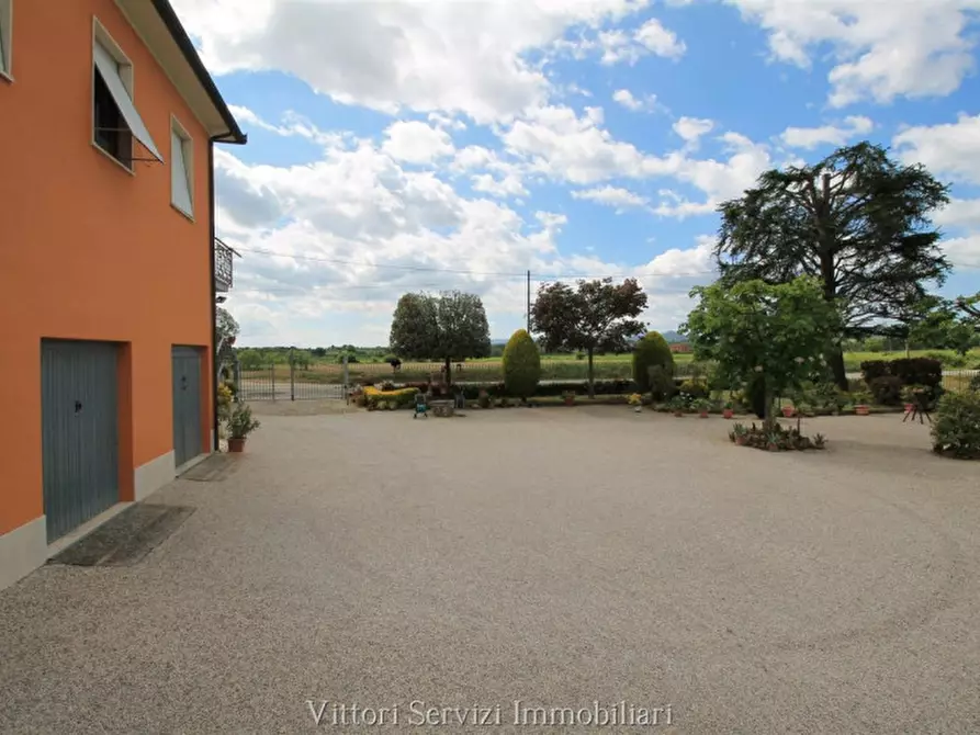 Immagine 22 di Rustico / casale in vendita  in pantanelli di sotto a Torrita Di Siena