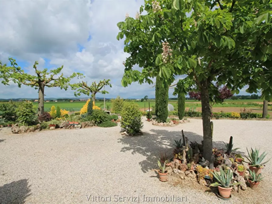 Immagine 23 di Rustico / casale in vendita  in pantanelli di sotto a Torrita Di Siena