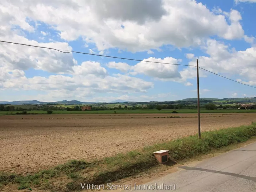 Immagine 25 di Rustico / casale in vendita  in pantanelli di sotto a Torrita Di Siena