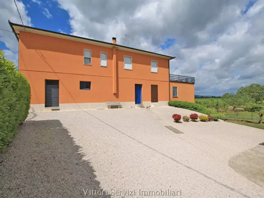 Immagine 31 di Rustico / casale in vendita  in pantanelli di sotto a Torrita Di Siena