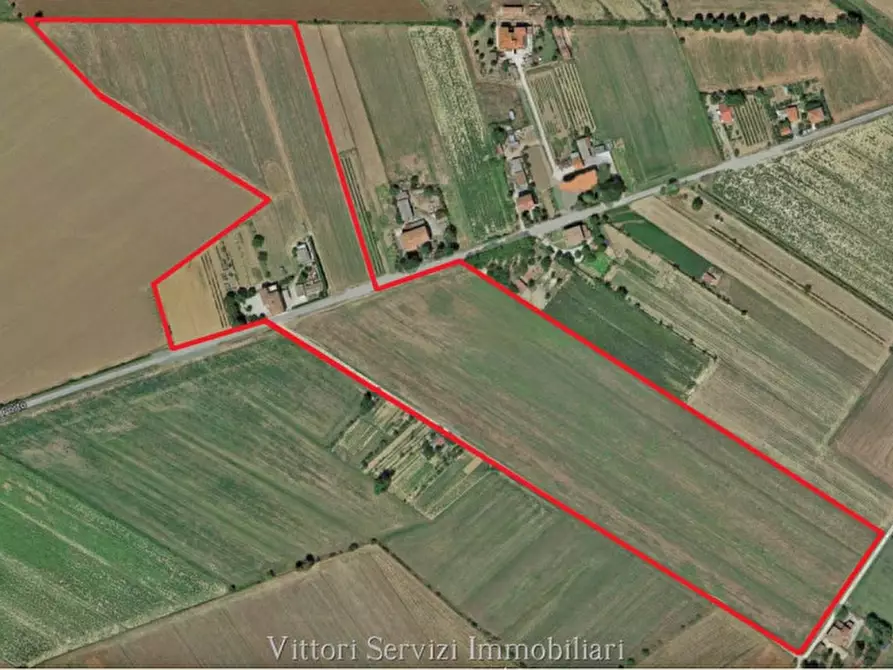 Immagine 32 di Rustico / casale in vendita  in pantanelli di sotto a Torrita Di Siena