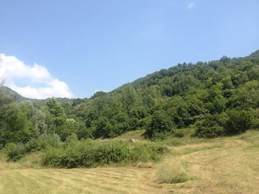 Immagine 2 di Terreno in vendita  in Via Roma a Vallio Terme