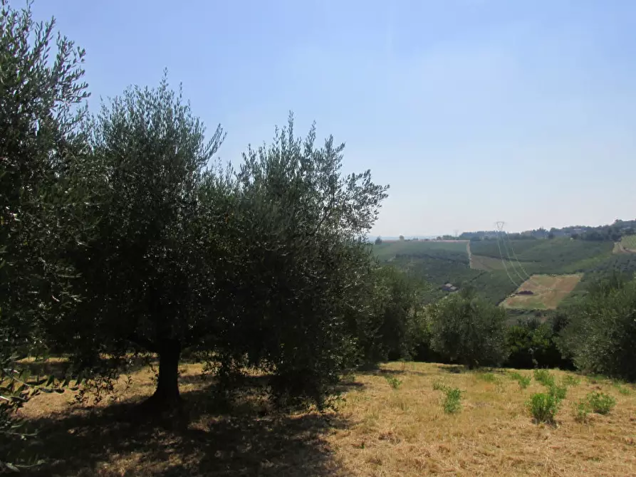 Immagine 2 di Casa indipendente in vendita  a Longiano