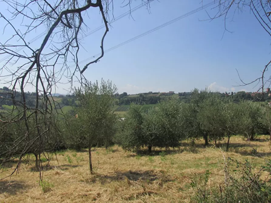 Immagine 3 di Casa indipendente in vendita  a Longiano