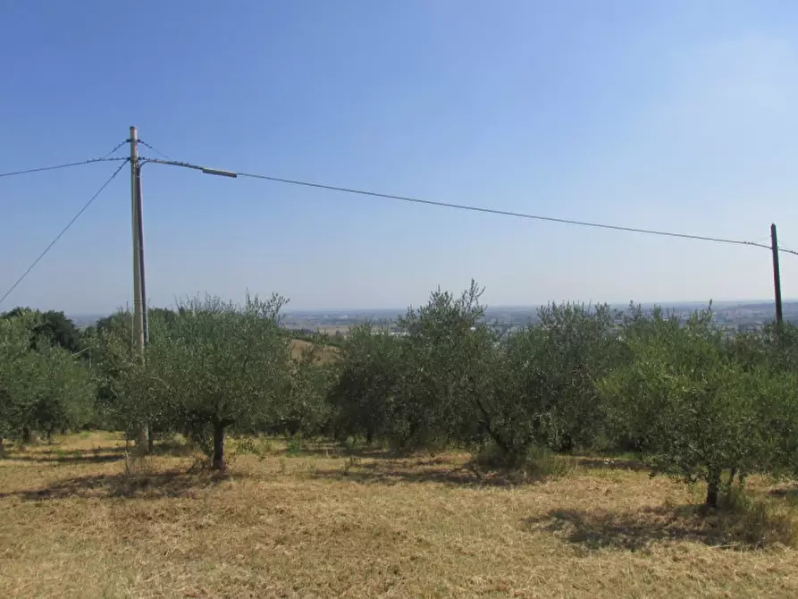 Immagine 4 di Casa indipendente in vendita  a Longiano