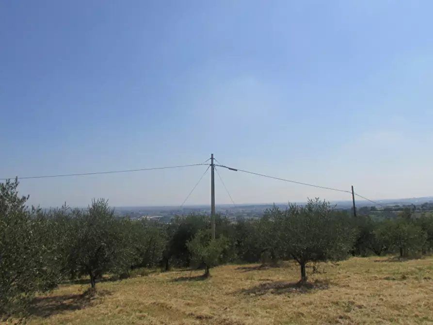 Immagine 6 di Casa indipendente in vendita  a Longiano