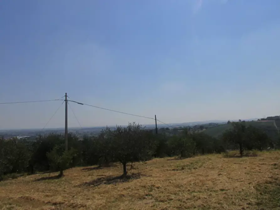 Immagine 7 di Casa indipendente in vendita  a Longiano