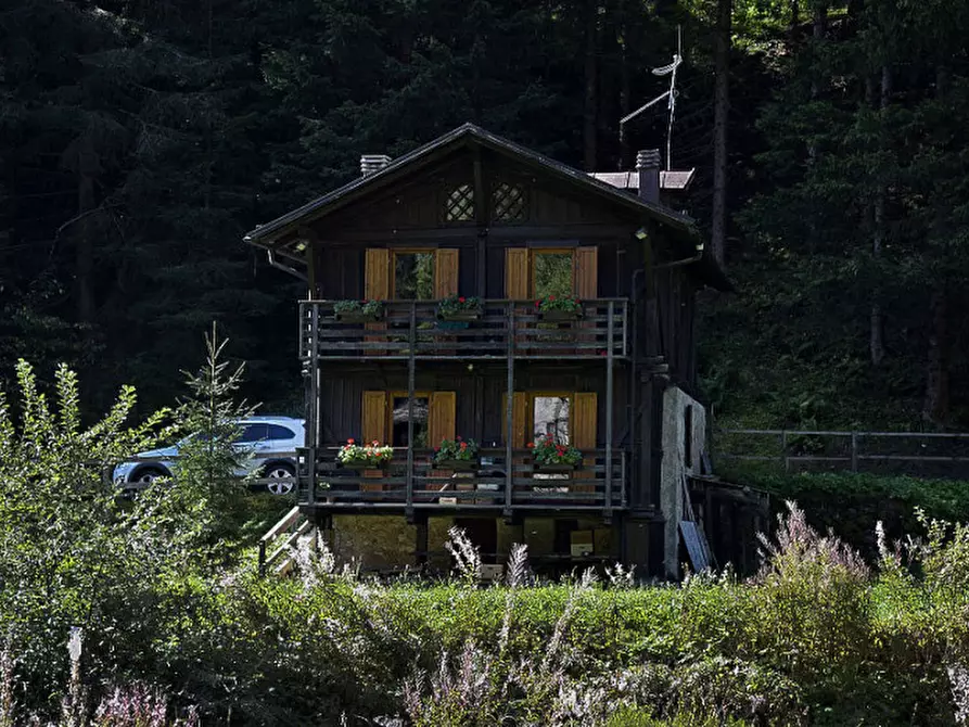 Immagine 2 di Rustico / casale in vendita  a Rabbi