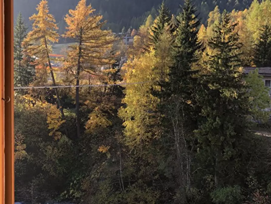 Immagine 25 di Appartamento in vendita  a Valdidentro