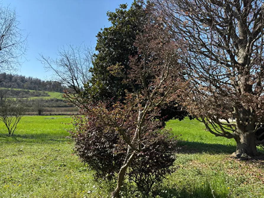 Immagine 25 di Casa indipendente in affitto  in Viale Sant'Agostino 489 a Vicenza