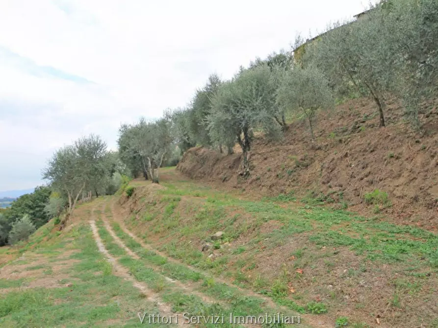 Immagine 25 di Casa bifamiliare in vendita  in via Guerazzi a Sinalunga