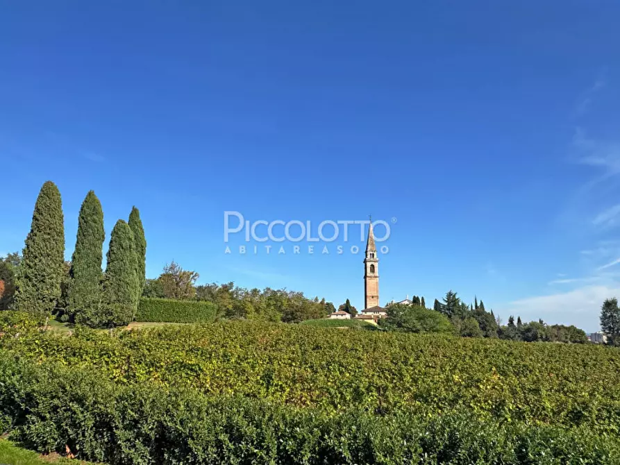 Immagine 18 di Villa in vendita  in via Monte Pelmo a Montebelluna