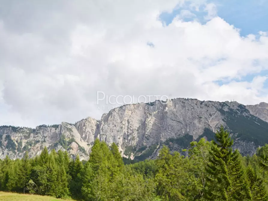 Immagine 9 di Appartamento in affitto  in Alverà a Cortina D'ampezzo