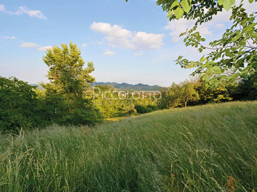 Immagine 2 di Terreno in vendita  in via Roma a Pieve Del Grappa