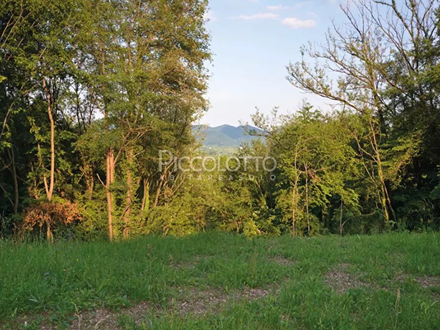 Immagine 4 di Terreno in vendita  in via Roma a Pieve Del Grappa