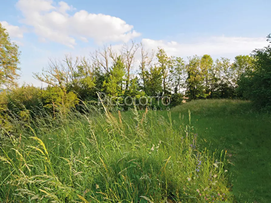 Immagine 6 di Terreno in vendita  in via Roma a Pieve Del Grappa