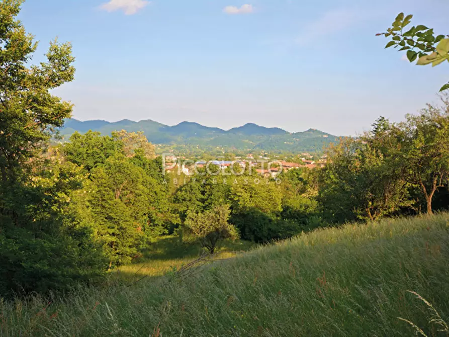 Immagine 7 di Terreno in vendita  in via Roma a Pieve Del Grappa