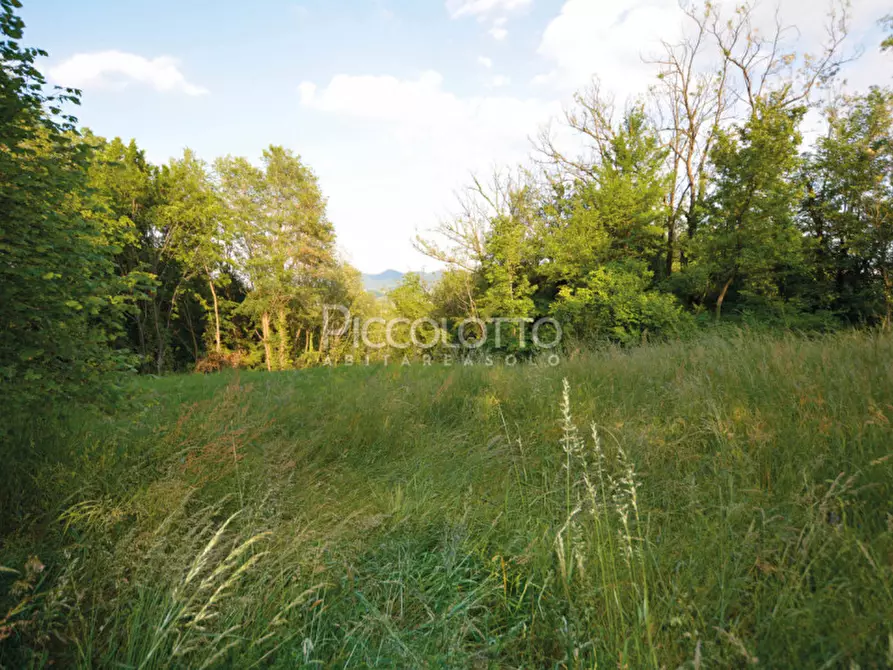 Immagine 8 di Terreno in vendita  in via Roma a Pieve Del Grappa