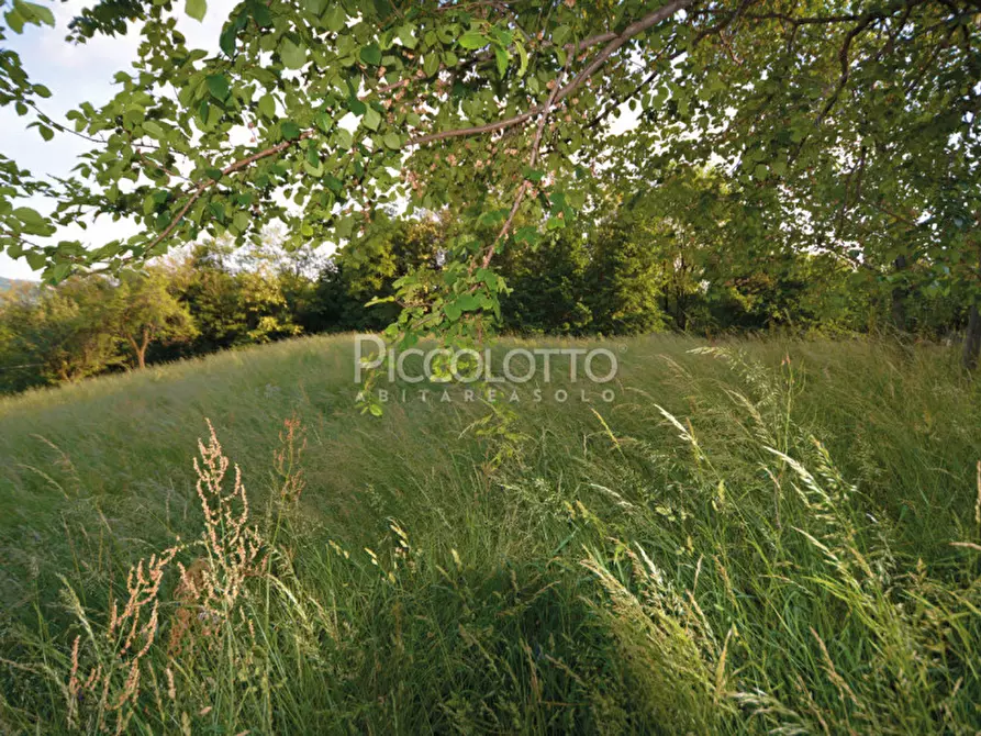Immagine 9 di Terreno in vendita  in via Roma a Pieve Del Grappa