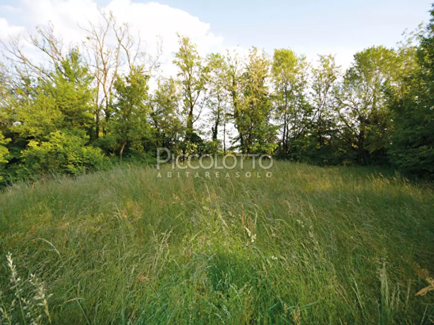 Immagine 10 di Terreno in vendita  in via Roma a Pieve Del Grappa