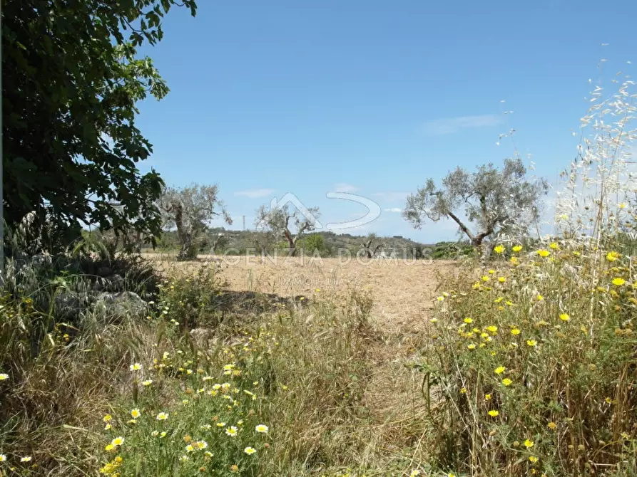 Immagine 3 di Terreno in vendita  in Località Argillari a Racale