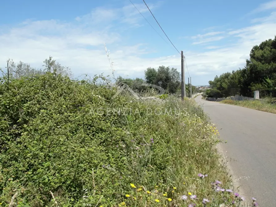 Immagine 4 di Terreno in vendita  in Località Argillari a Racale