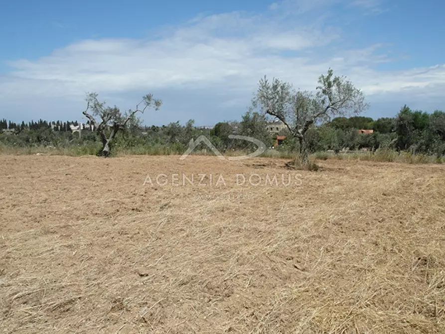 Immagine 5 di Terreno in vendita  in Località Argillari a Racale