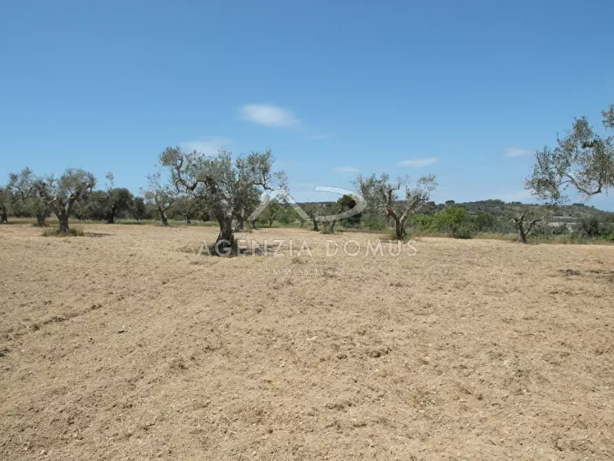 Immagine 6 di Terreno in vendita  in Località Argillari a Racale