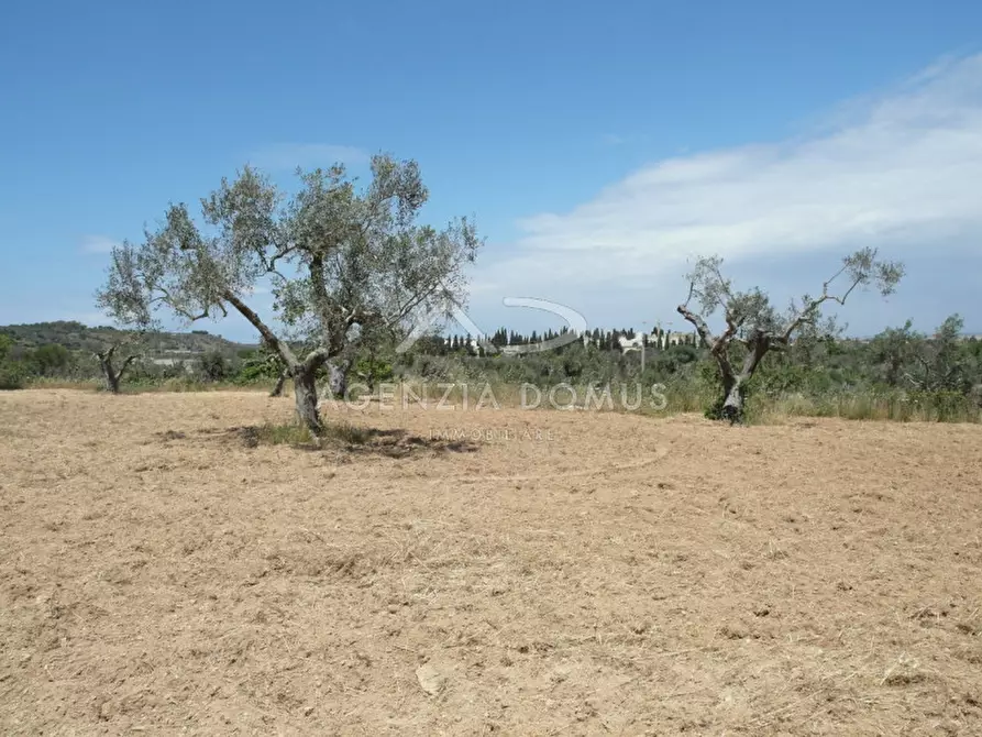 Immagine 7 di Terreno in vendita  in Località Argillari a Racale