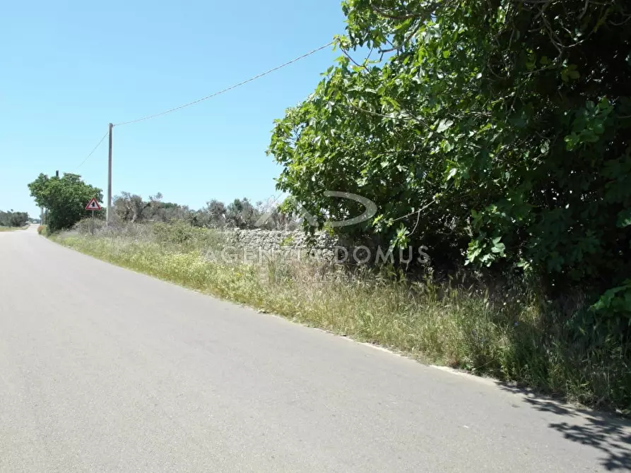 Immagine 10 di Terreno in vendita  in Località Argillari a Racale