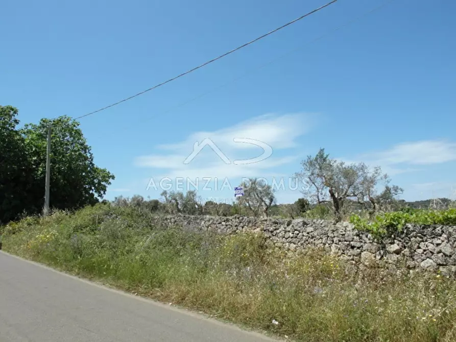 Immagine 11 di Terreno in vendita  in Località Argillari a Racale