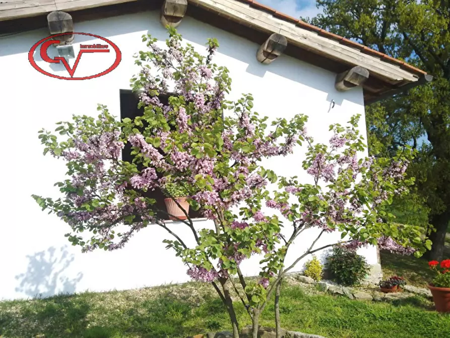 Immagine 2 di Casa quadrifamiliare in vendita  in ville a Terranuova Bracciolini