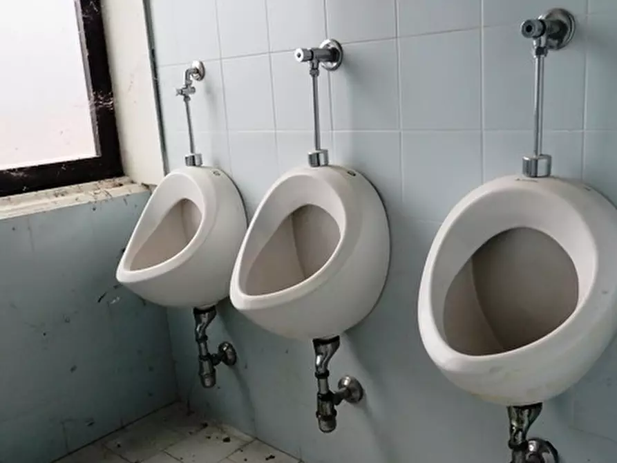 Immagine 14 di Capannone industriale in vendita  in via Zuccherificio a Crevalcore