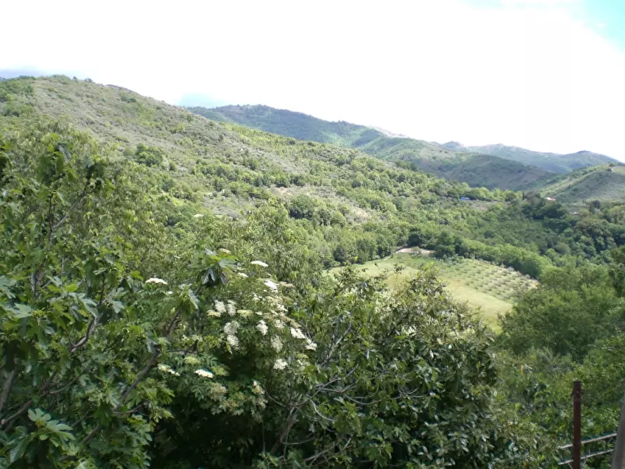 Immagine 5 di Appartamento in vendita  in Via degli Olmi Oscuri a San Gregorio Da Sassola