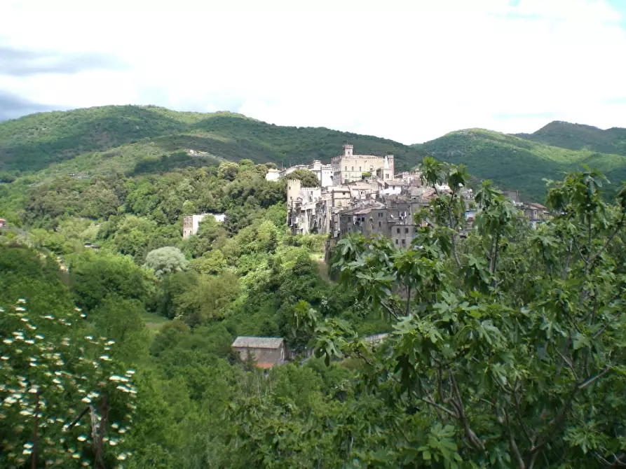 Immagine 19 di Appartamento in vendita  in Via degli Olmi Oscuri a San Gregorio Da Sassola