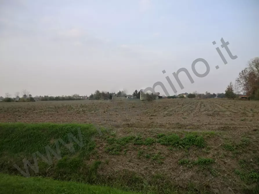 Immagine 2 di Terreno in vendita  in Via Vignale a Selvazzano Dentro